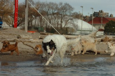 Mar31_07_447.JPG