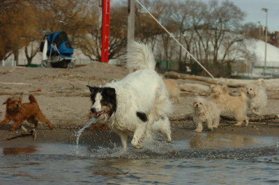 Mar31_07_448.JPG