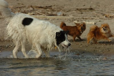 Mar31_07_450.JPG