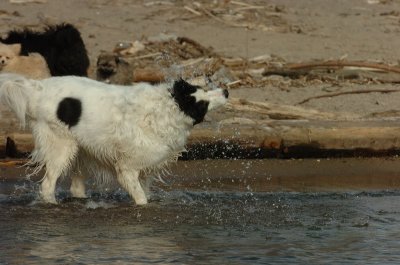 Mar31_07_453.JPG