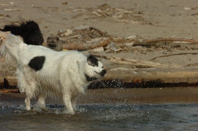 Mar31_07_454.JPG