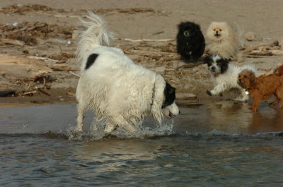 Mar31_07_456.JPG