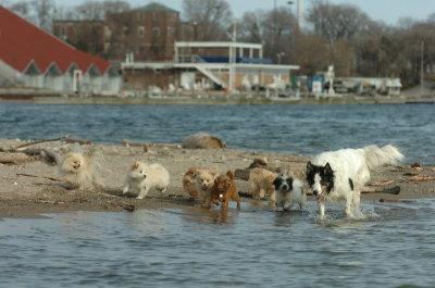 Mar31_07_458.JPG
