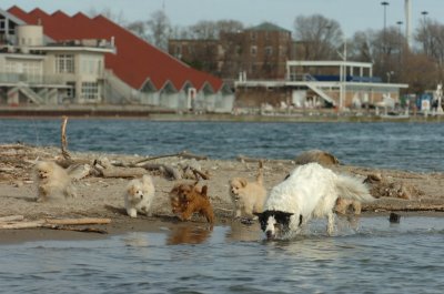 Mar31_07_463.JPG