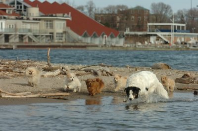 Mar31_07_464.JPG