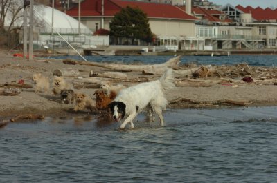 Mar31_07_467.JPG