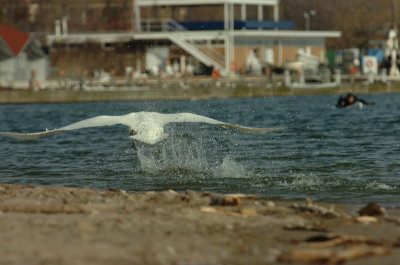 Mar31_07_406.JPG