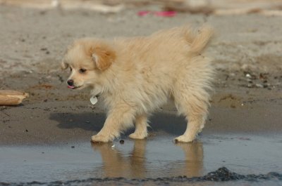 Mar31_07_420.JPG