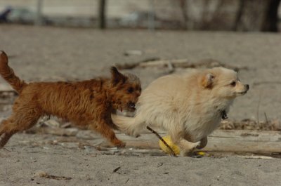 Mar31_07_190.JPG