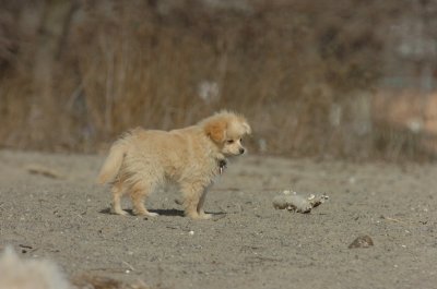 Mar31_07_198.JPG