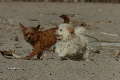 Mar31_07_200.JPG