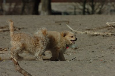 Mar31_07_211.JPG