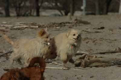 Mar31_07_213.JPG