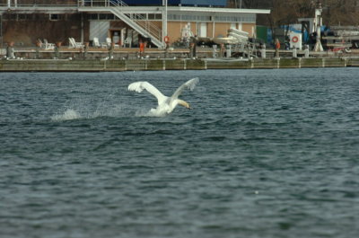 Mar31_07_009.JPG