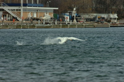 Mar31_07_011.JPG