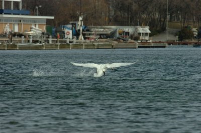 Mar31_07_013.JPG