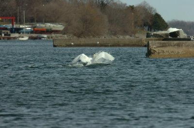 Mar31_07_015.JPG