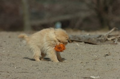 Mar31_07_106.JPG