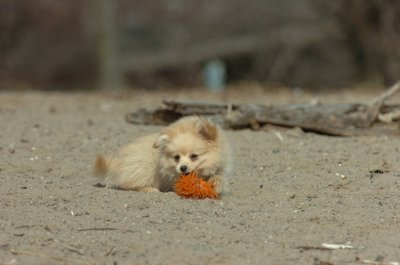Mar31_07_109.JPG