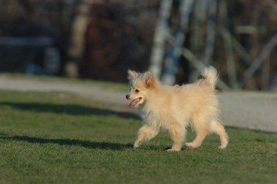 Apr22_07_044.JPG