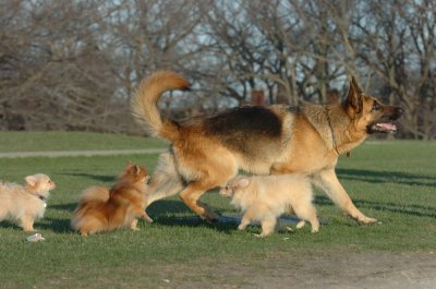 Apr22_07_054.JPG