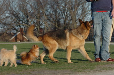 Apr22_07_055.JPG