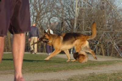 Apr22_07_061.JPG