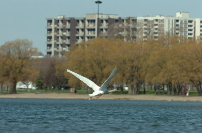 Apr30_07_804.JPG