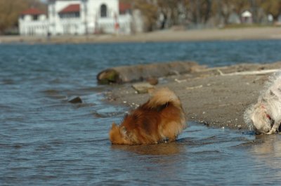 Apr30_07_595.JPG