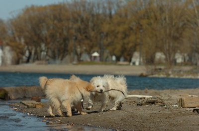 Apr30_07_640.JPG