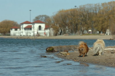 Apr30_07_670.JPG