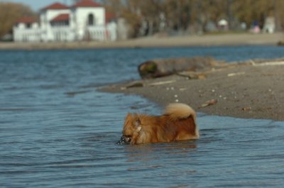 Apr30_07_433.JPG