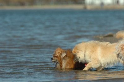 Apr30_07_493.JPG