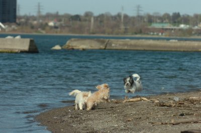 Apr30_07_209.JPG