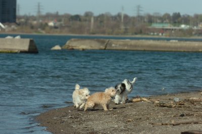 Apr30_07_210.JPG