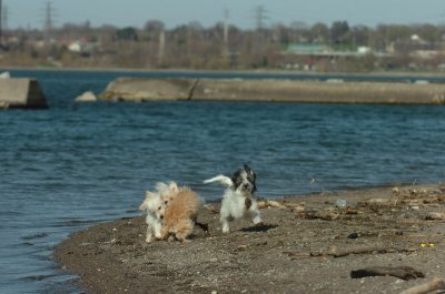 Apr30_07_214.JPG