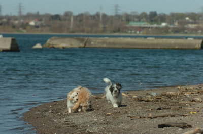 Apr30_07_215.JPG