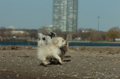Apr30_07_222.JPG