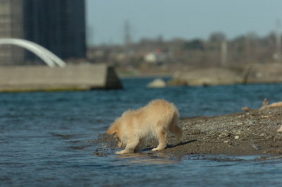 Apr30_07_230.JPG
