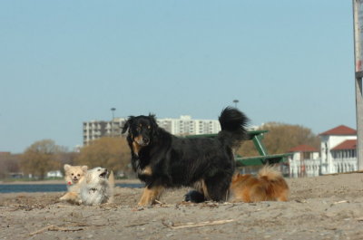 Apr30_07_238.JPG