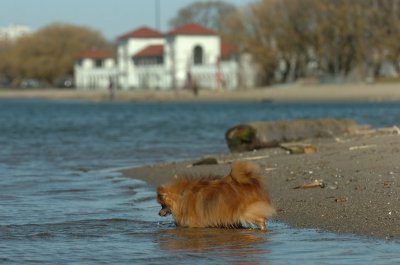 Apr30_07_279.JPG