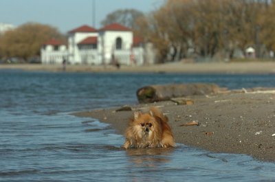 Apr30_07_282.JPG