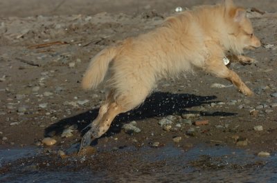 Apr30_07_038.JPG
