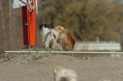 Apr30_07_045.JPG