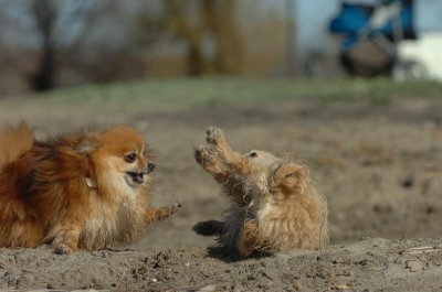Apr30_07_056.JPG