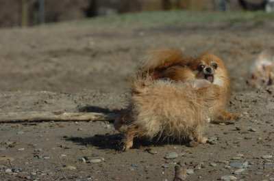 Apr30_07_060.JPG