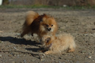 Apr30_07_068.JPG