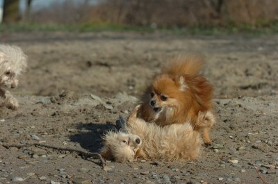 Apr30_07_069.JPG