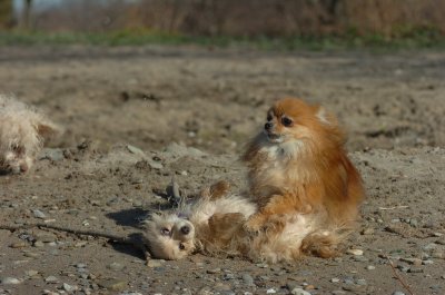 Apr30_07_070.JPG