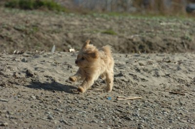 Apr30_07_082.JPG